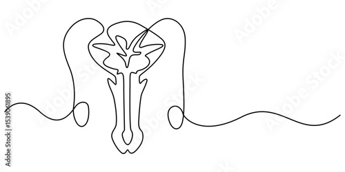 male reproductive system continuous one line drawing, Digital illustration of male reproductive system, Male reproductive system icon in outline style isolated on white background. Organs symbol stock