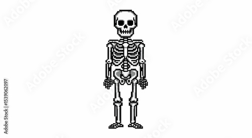 Skeleton of dead person