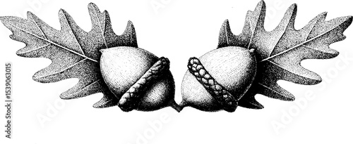 Detailed acorn and oak leaf design in dotwork tattoo style for nature-inspired art