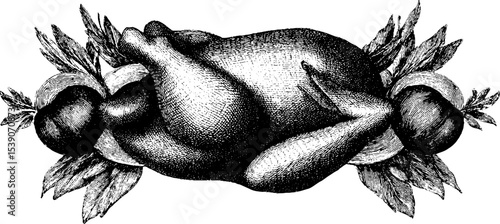 Roast chicken with herbs in vintage engraving style for culinary art