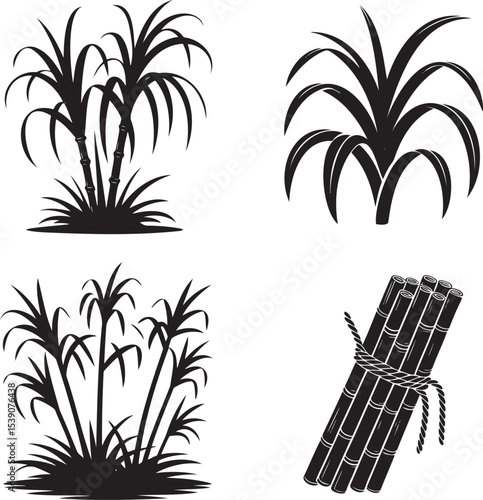 Sugarcane silhouette set vector illustration isolated On Transparent Background