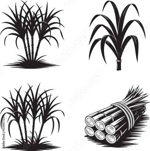 Sugarcane silhouette set vector illustration isolated On Transparent Background
