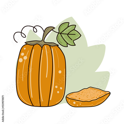 Pumpkin cartoon. Contour drawing, doodle, vegetable. Harvest, food. Autumn season banner, poster with space for text. Halloween. Vector illustration. White isolated background.