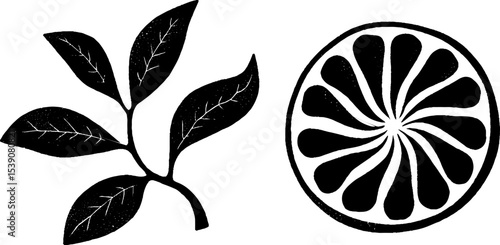Lemon wedge and citrus leaf design with rind spiral for natural decor and print