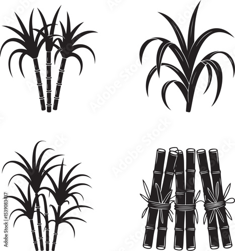 Sugarcane silhouette set vector illustration isolated On Transparent Background