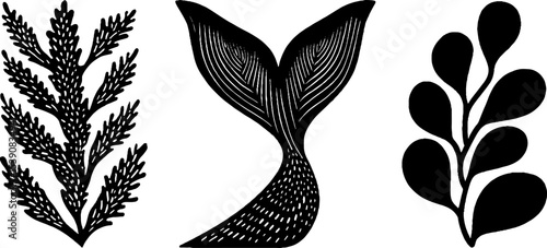 Marine life elements with whale fin and algae for ocean-themed designs