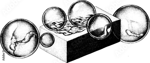 Dotwork soap bar with bubbles tattoo style design for artistic inspiration