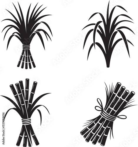 Sugarcane silhouette set vector illustration isolated On Transparent Background