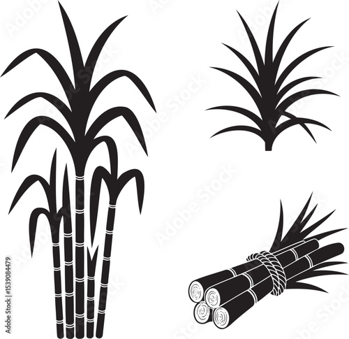 Sugarcane silhouette set vector illustration isolated On Transparent Background