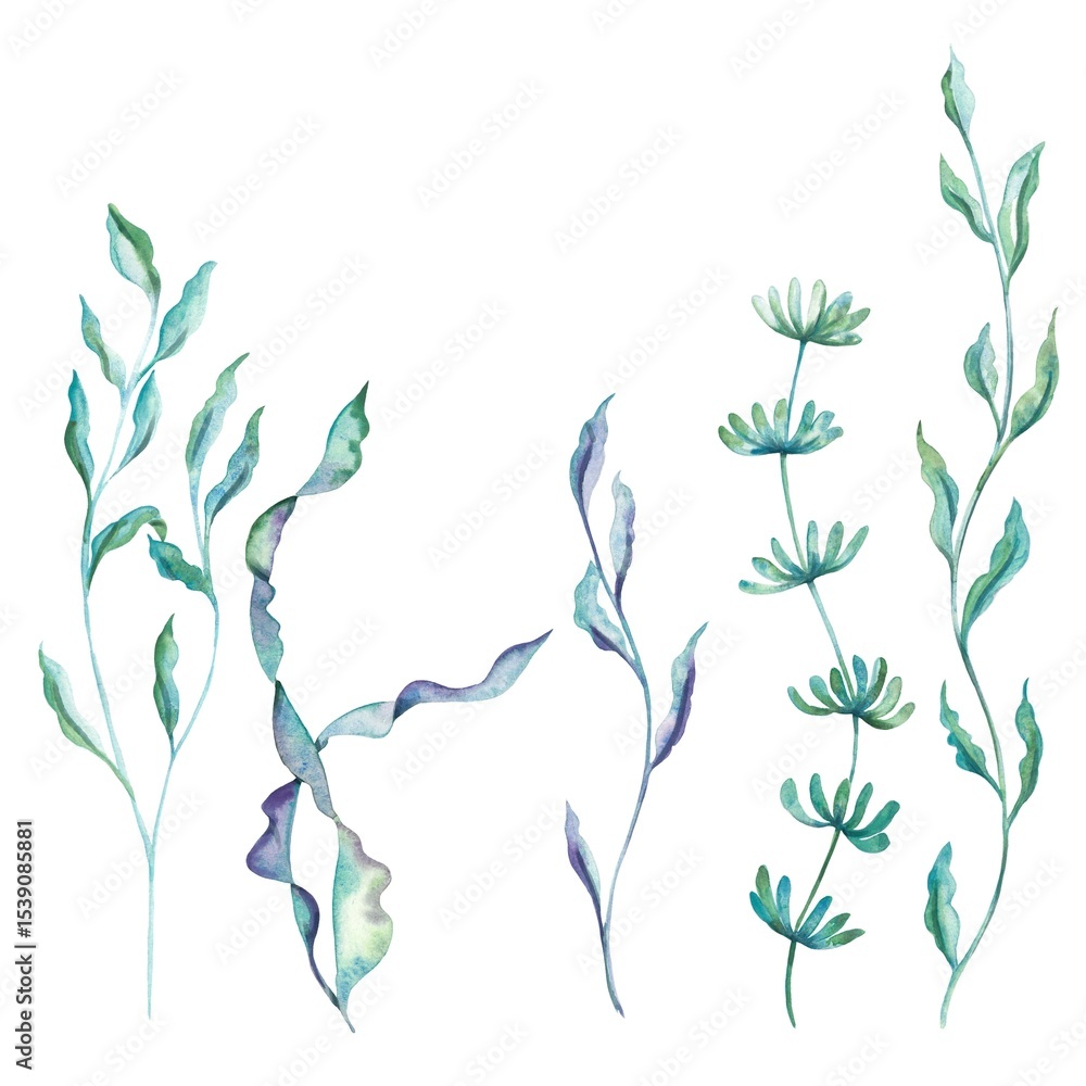 Fototapeta premium Isolated sea watercolour bright illustration 