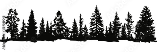 Silhouettes of diverse coniferous evergreen trees including spruce and fir in horizontal forest line vector black and white minimalist design