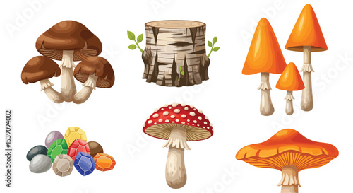 A Comprehensive Collection of Mushroom Varieties Exploring Nature's Mycelial Kingdom Wonders