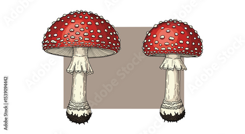 Exploring the Enchanting World of Fly Agaric Mushrooms A Deep Dive into Nature