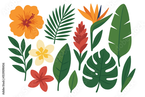 Vector flat illustration of a vibrant summer collection, including palm and banana branches, exotic flowers, and tropical leaves like plumeria, isolated on a white background