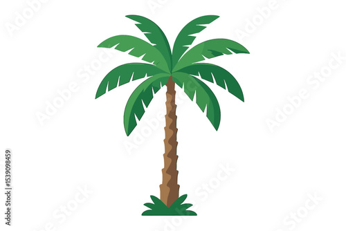 A beautiful palm tree is depicted in vector art form on a white background