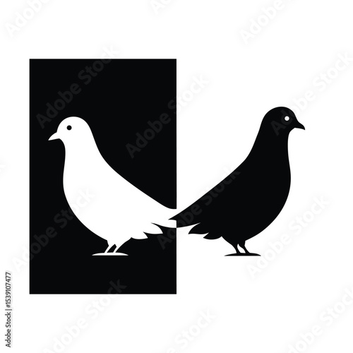 vector illustration of a pigeon