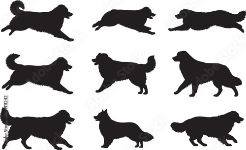 Australian Shepherd Silhouettes