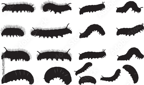 Caterpillar Silhouettes