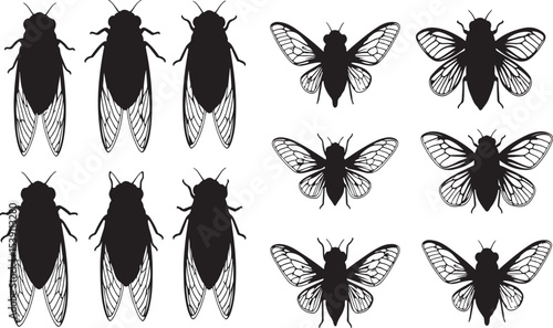Cicada Silhouettes