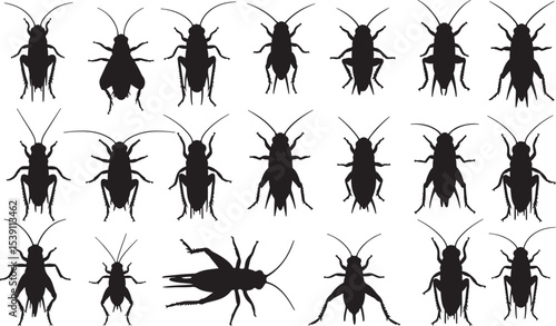 Cricket Silhouettes