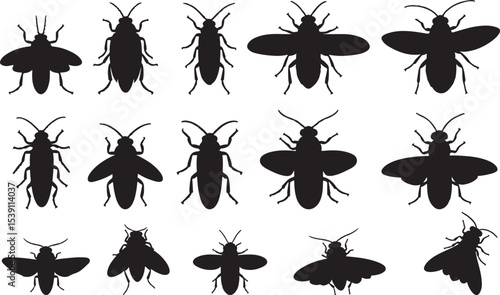 Firefly Silhouettes