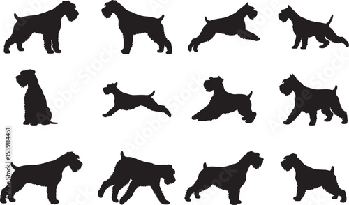 Giant Schnauzer Silhouettes