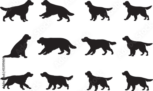 Gordon Setter Silhouettes