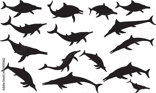 Ichthyosaur Silhouettes