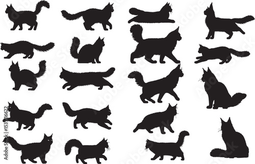 Maine Coon Silhouettes