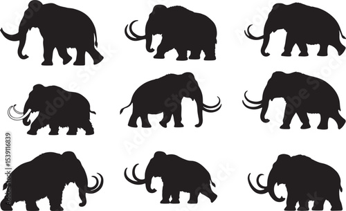 Mammoth Silhouettes