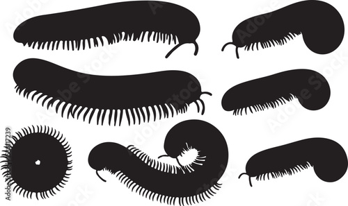 Millipede Silhouettes