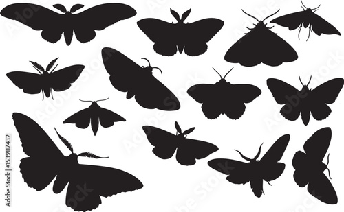 Moth Silhouettes