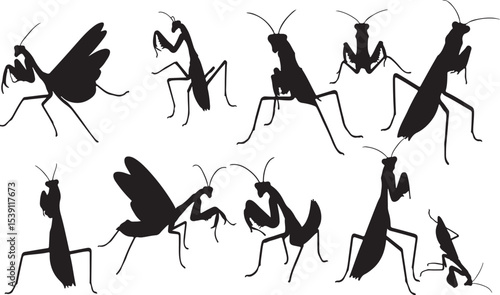 Praying Mantis Silhouettes