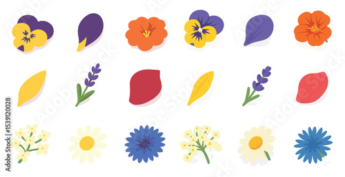 Botanical and garden flat icons set – nature, flowers, floral design symbols