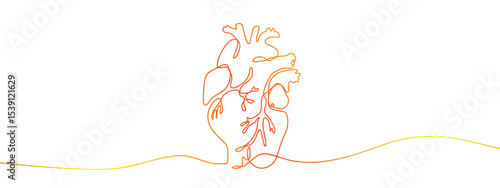 Continuous line, vector, gold, heart, anatomy Transparent background, editable gradient.