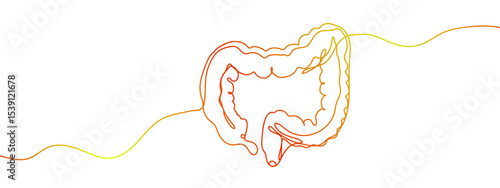 Continuous line vector gold large intestine anatomy Transparent background, editable gradient.
