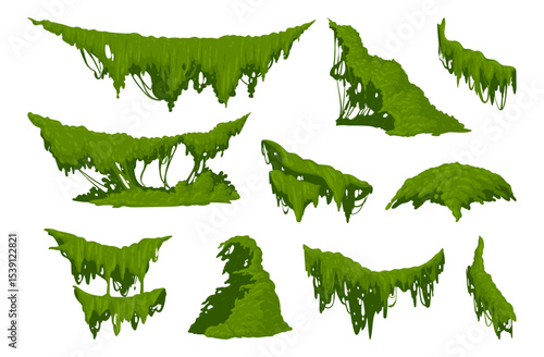 Creeping lichen. Hanging jungle moss, swamp green moss plants flat vector illustration set. Cartoon rainy forest flora on white