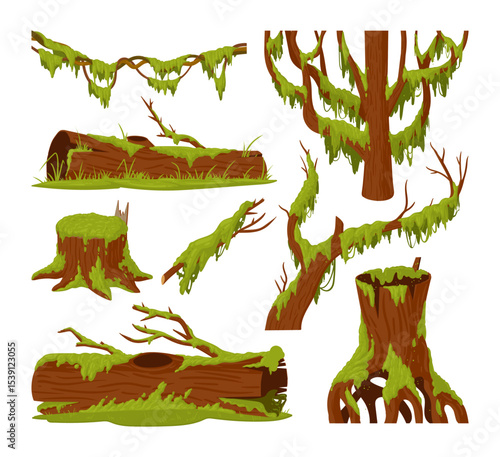 Swamp green moss. Moss plants growing on wood trunks, rainy forest lichen and fungus plants on rotten stumps flat vector illustration set. Cartoon moss collection