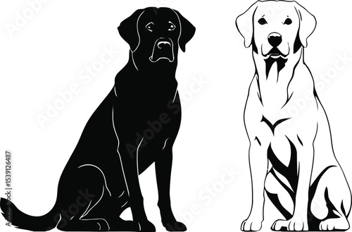 Labrador retriever dog silhouettes sitting silhouette.