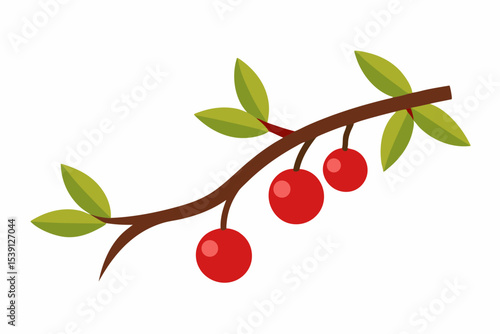 Red berries branch with green leaves illustration