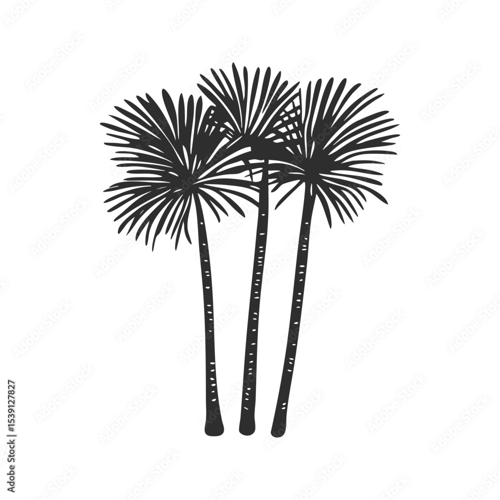 Obraz premium Three Palm Trees Silhouette Illustration. Tropical Nature And Relaxation Theme Isolated Vector Illustration