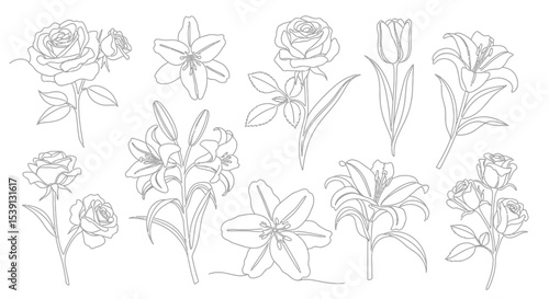 Wallpaper Mural Elegant Line Art Flowers Roses and Lilies Collection - Vector Illustration Torontodigital.ca