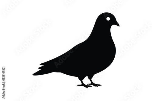 silhouette vector illustration of a pigeon.eps
