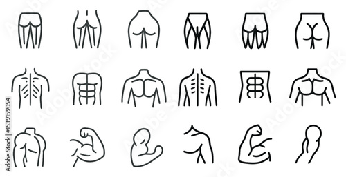 Bodybuilding muscle outline icons set – gym, exercise, fitness symbols