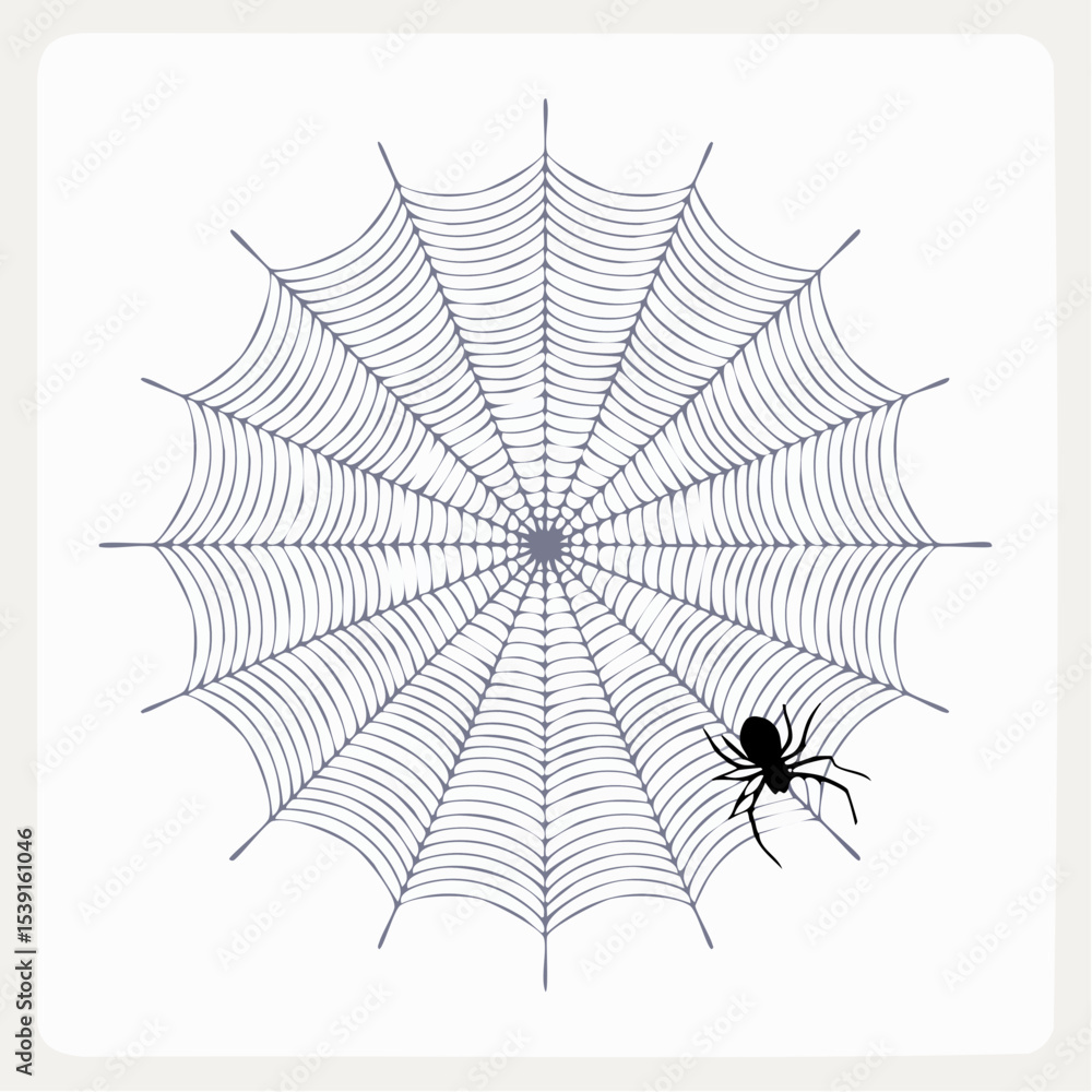 Obraz premium Vector - Spider Web with Silhouetted Spider 2