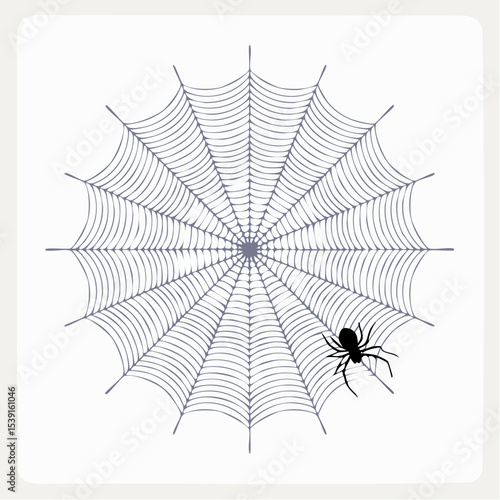 Vector - Spider Web with Silhouetted Spider 2