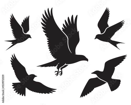 Five black silhouettes of birds in flight