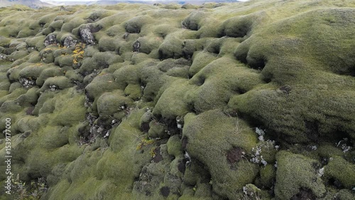 Iceland Drone Flyover. Mossy Lava and Volcanic Landscape