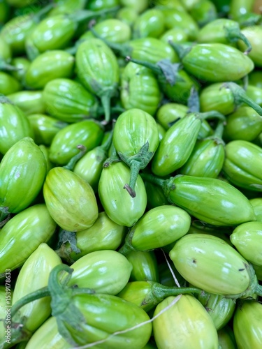 fresh jiló 