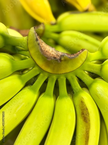 bunch of bananas